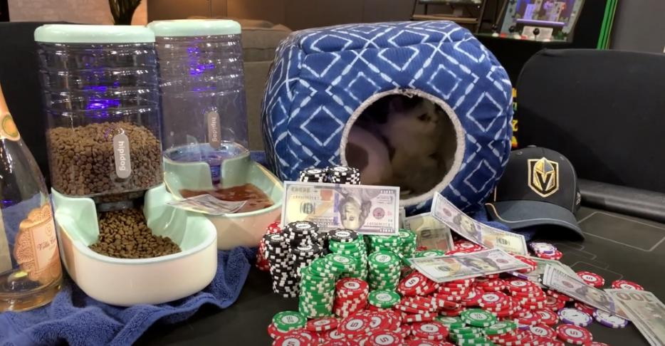 High Stakes Poker Kat
