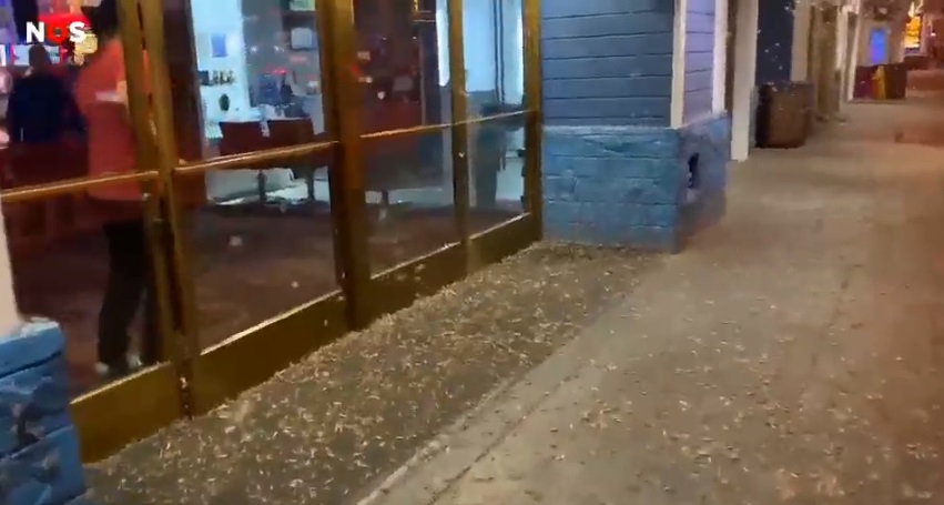 lasvegas sprinkhanen