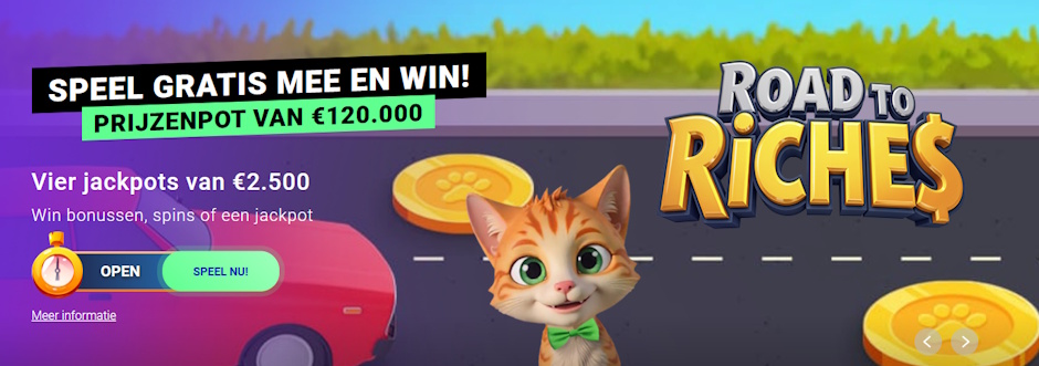 road to the riches banner