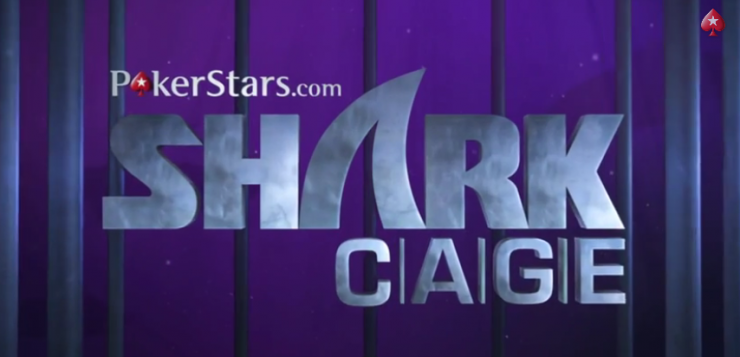 sharkcage 740x357 v2