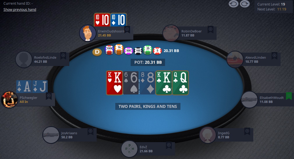 pascal schwegler bust 9e